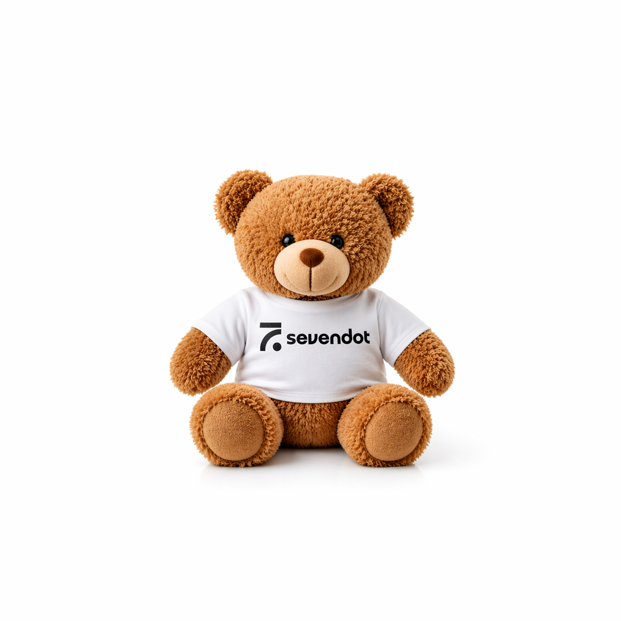Branded Plush Teddy