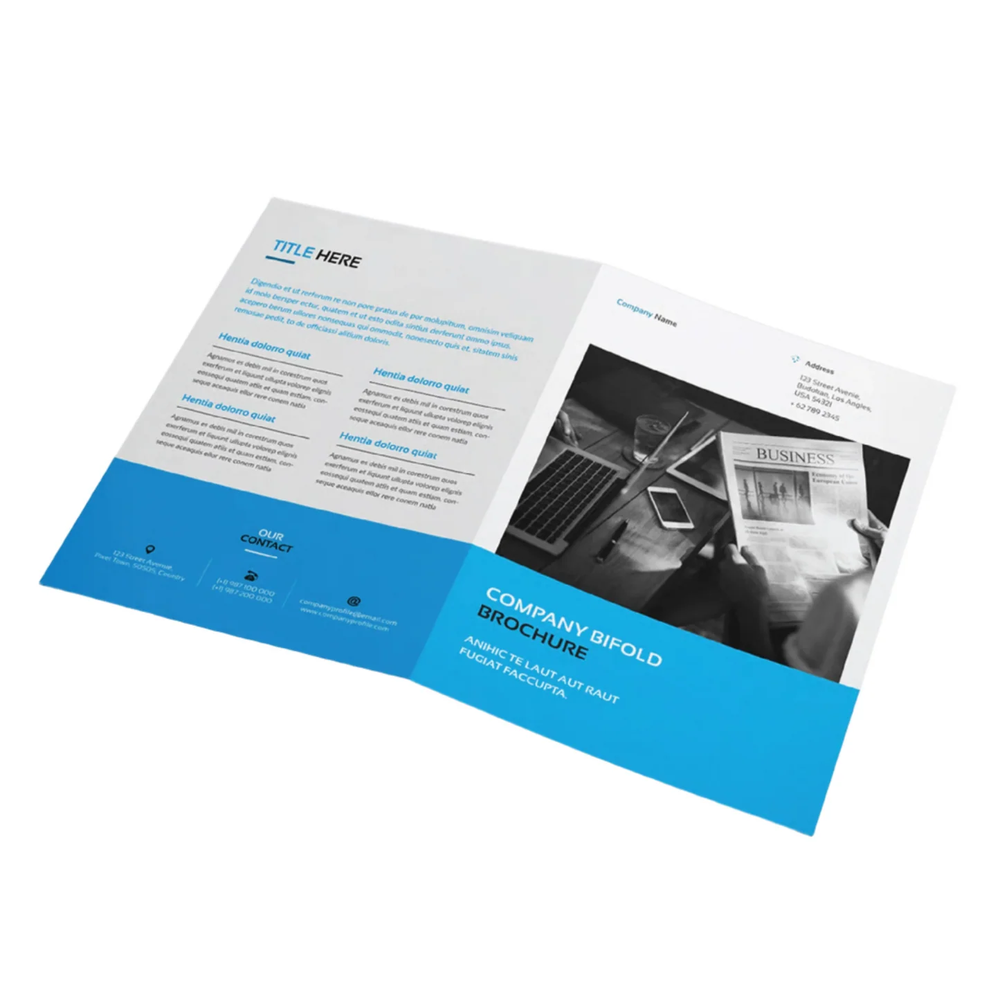 Brochures & Catalogs